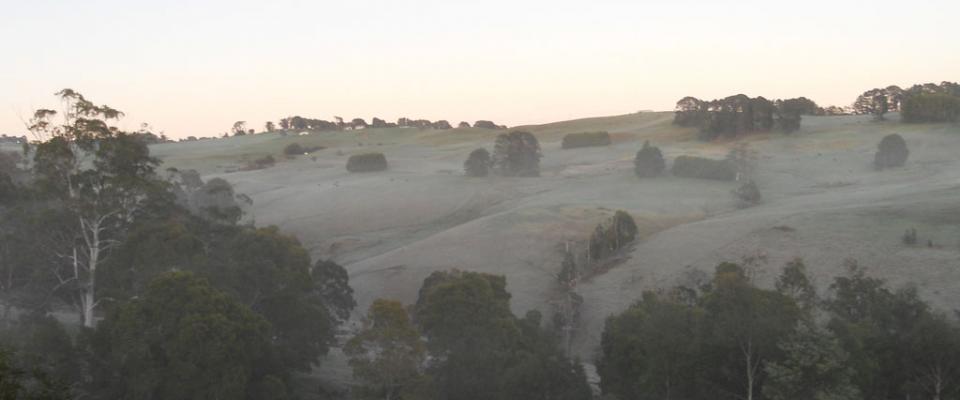 Frost over the farm at Boolarra