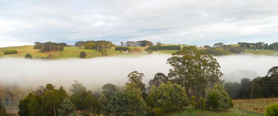 The view from our Boolarra farm on a foggy day